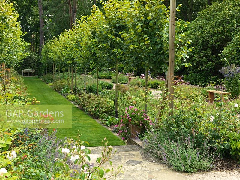 A bench provides a focal point at the end of a long grass path lined with pleached Lime trees. A newly planted garden in the style of Gertrude Jekyll.