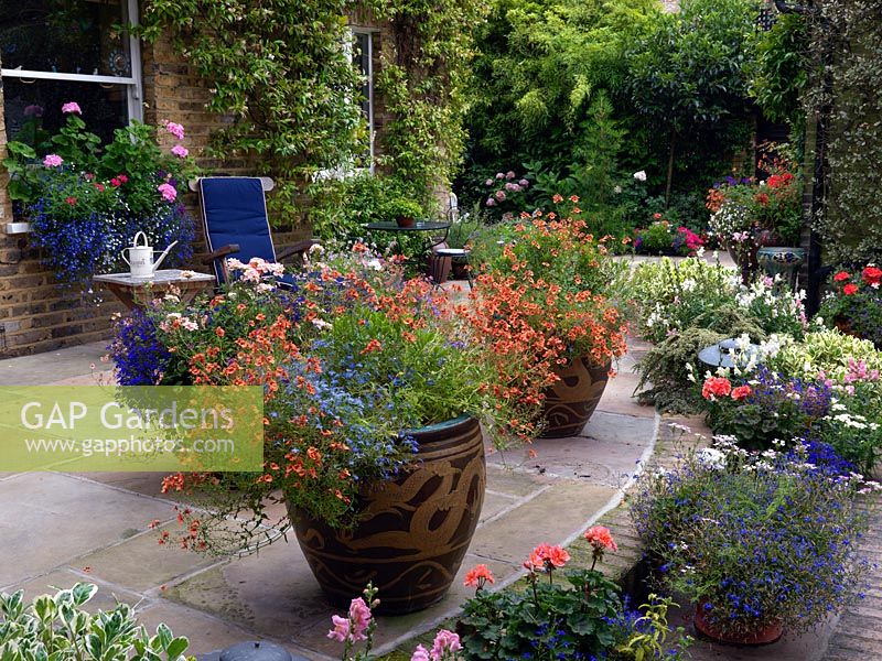 A rear garden with large patio decorated with annual containers. Plants include Lobelia, Diascia and Pelargoniums.