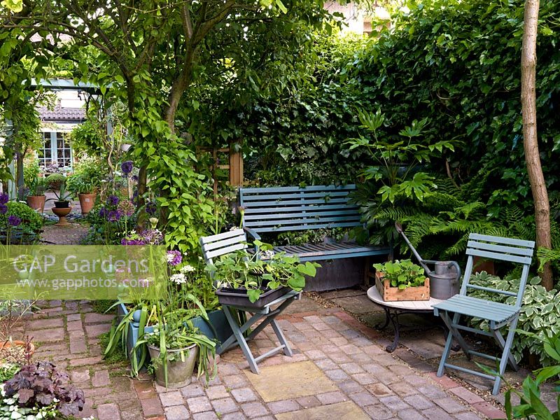 View to house down 30m x 8m plot, past raised beds of allium, under pergola to patio. Small shady courtyard with furniture 