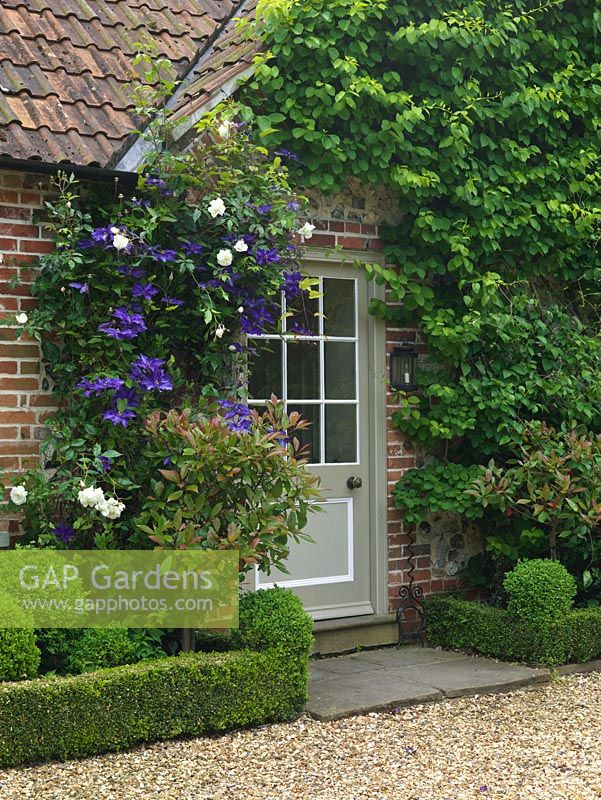 Porch and front door are edged in beds of Clematis 'Perle d'Azur', white roses, box topiary and Photinia x fraseri 'Red Robin'.