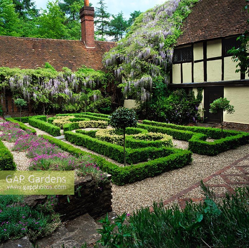 100-year-old Wisteria sinensis scrambles over timbered facade of 1565 farmhouse complemented by Elizabethan style knot garden