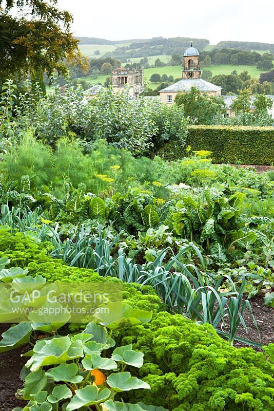 The kitchen garden at Chatsworth House, Derbyshire