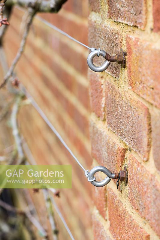 Vine eyes in brick wall with wires attached.