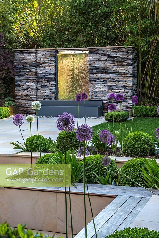 Town garden designed by Kate Gould. A stainless steel water feature is set into a dry stone wall. Rectangular patches of lawn are edged in box balls interplanted with purple and white allium. 