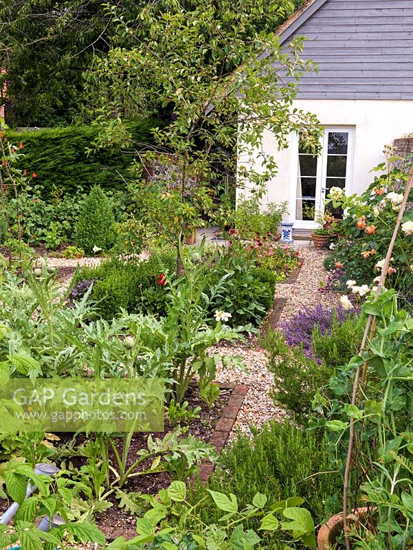 Beside house, vegetable potager with brick-edged beds in gravel, planted with sweet peas, runner beans on a wigwam support, roses, rosemary, cardoon, rhubarb and catmint.