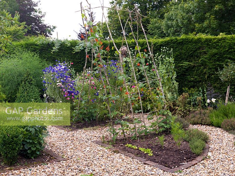 Fruit, flower and vegetable potager with brick-edged beds in gravel, planted with cornflowers, runner beans on a wigwam support, asparagus, dahlias and box topiary.