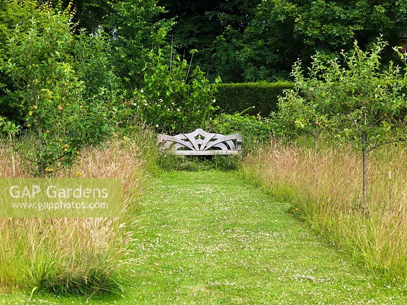 Contemporary garden. Grass path leading to wooden bench is mown through natural meadow of grasses and wildflowers, planted with fruit trees.