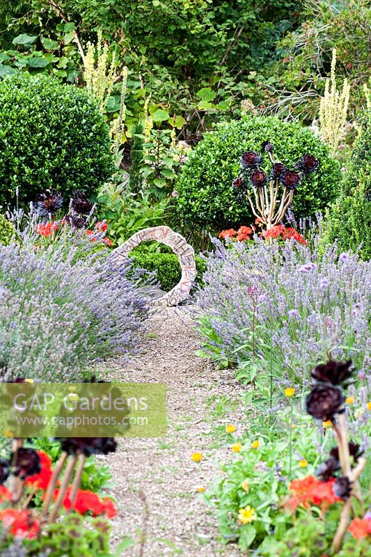 Pots of Aeonium 'Zwartkop' and scarlet pelargoniums in the Rickyard with lavender and calendula. At the end of the gravel path is a circle of wood with a painted inscription. Dyffryn Fernant, Fishguard, Pembrokeshire, Wales, UK