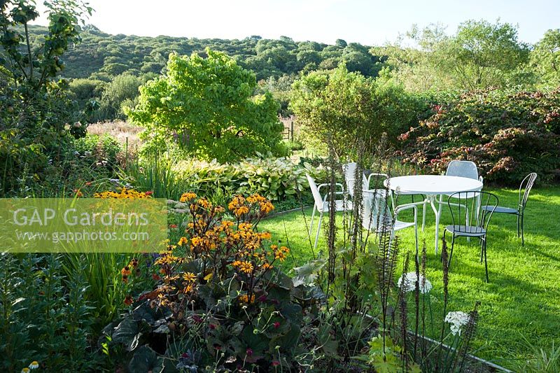 Seating area in the Orchard garden surrounded by ligularias, heleniums and crocosmias.  Dyffryn Fernant, Fishguard, Pembrokeshire, Wales, UK