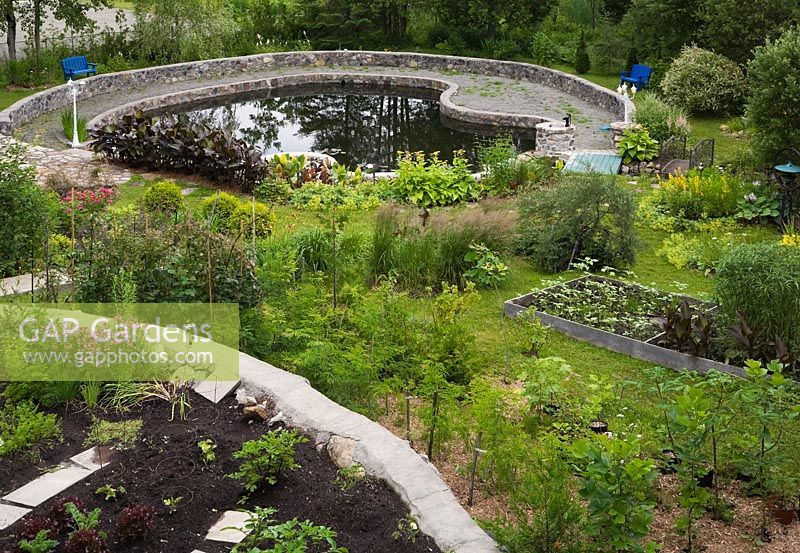 Top view of man-made flagstone edged pond bordered by Canna - Indian shot and raised allotted flower and vegetable plots in private front yard country estate garden in summer, Quebec, Canada