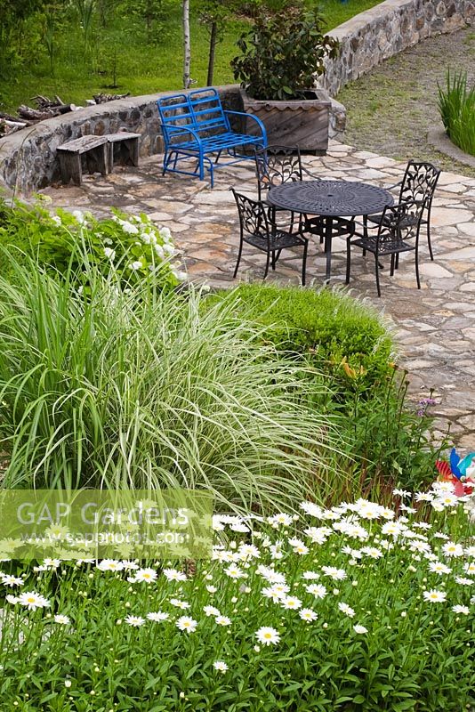 Top view of flagstone patio with blue bench, brown metal table and chairs next to man-made pond and borders planted with white Leucanthemum vulgare - Oxeye Daisy flowers and Miscanthus sinensis - Ornamental Grass in private front yard country estate garden in summer, Quebec, Canada