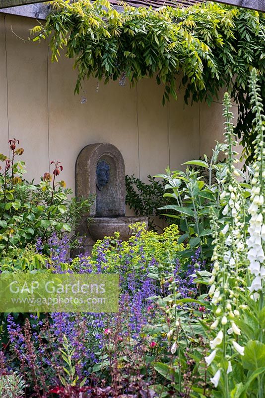 A stone wall mounted water feature behind a border planted with Digialis 'Alba', Alchemilla mollis, heuchera and Nepeta 'Six Hills Giant'.