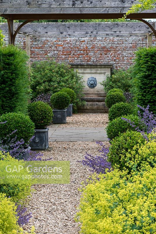 A formal walled garden with gravel path leading to a water feature. The path is lined by box balls in containers, yew hedging, catmint and Alchemilla mollis.