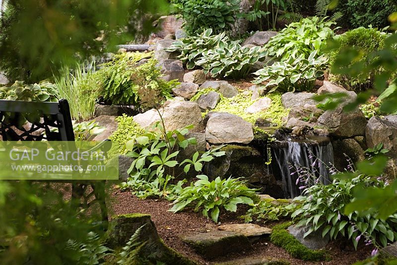Man-made creek and cascading waterfall bordered by Hosta and Lysimachia nummularia 'Aurea' - Golden Creeping Jenny plants in backyard garden in summer, Quebec, Canada