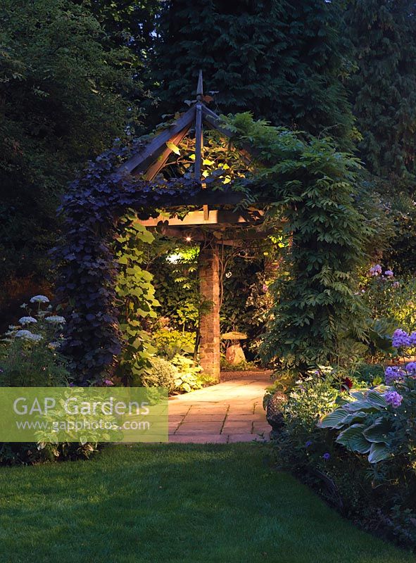 Garden lit at night. Wooden pergola clad in vine, clematis and wisteria leads to staddle stone. In beds, hosta, phlox, hardy geranium and box.