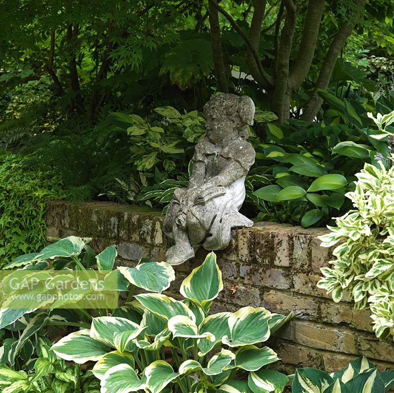 Small child statue sits on a wall in the shade of a large maple, above potted hostas.