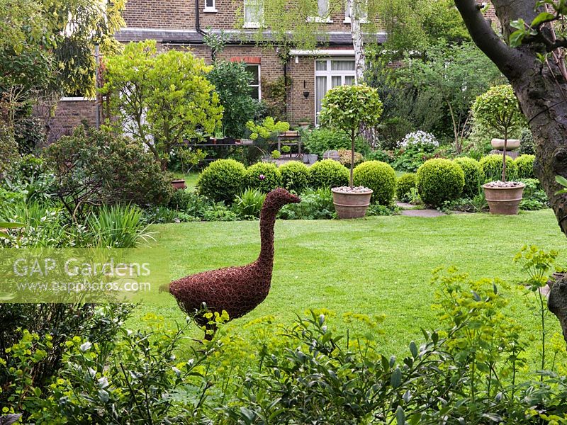 Statue of goose crafted from rusted chicken wire stands on lawn. Beyond, lawn divided by line of box balls and potted Viburnum tinus.