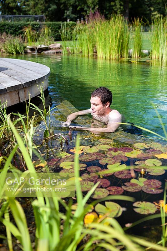 Man relaxing in swimming pond. September.