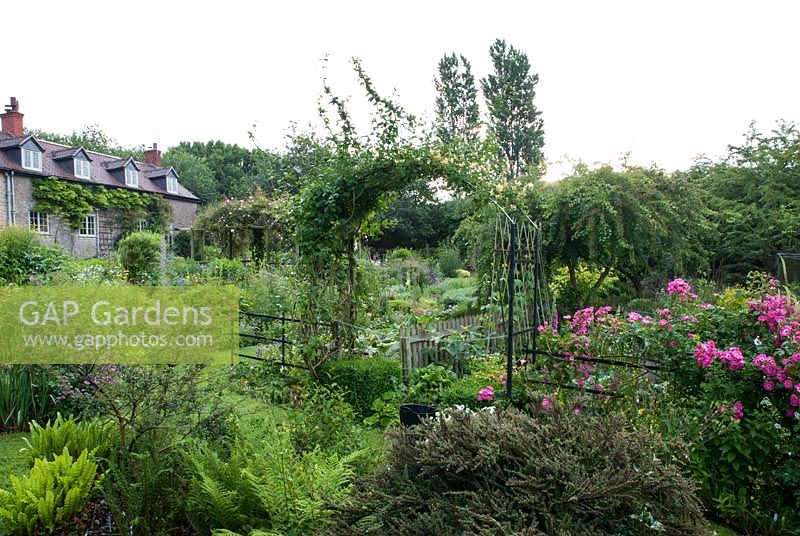 View of Snape Cottage Garden with Rosa 'American Pillar'
