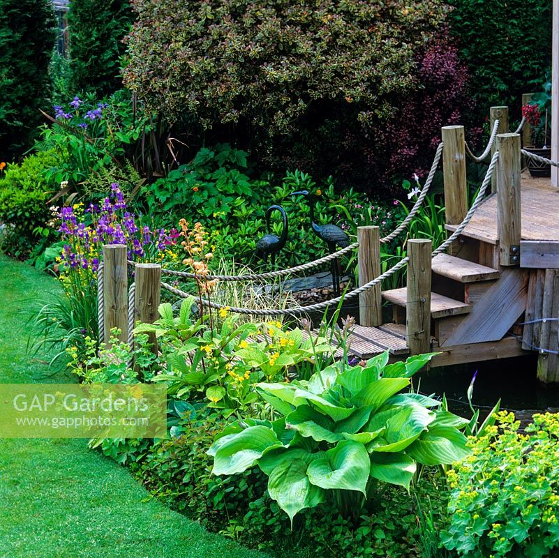 Raised wooden deck outside summerhouse is approached by steps with side posts linked by rose. Edged in Alchemilla mollis, hosta, Iris sibirica, mimulus and rodgersia.