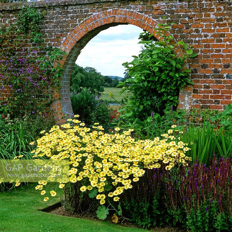 Circular moongate in old brick wall, flanked by Verbena bonariensis, anthemis and salvia, frames view of parkland 