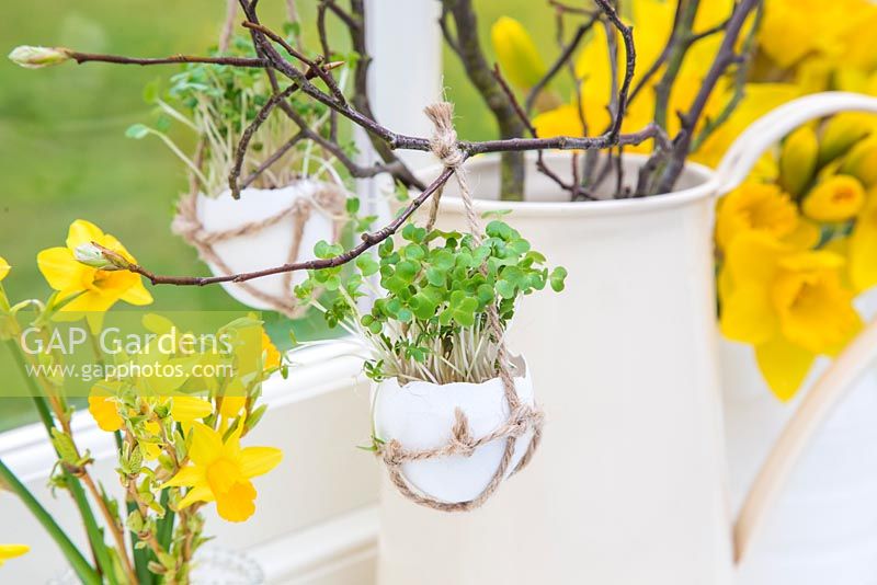 Egg Shell Cress hanging in a rustic string satchel, amongst an Easter setting.