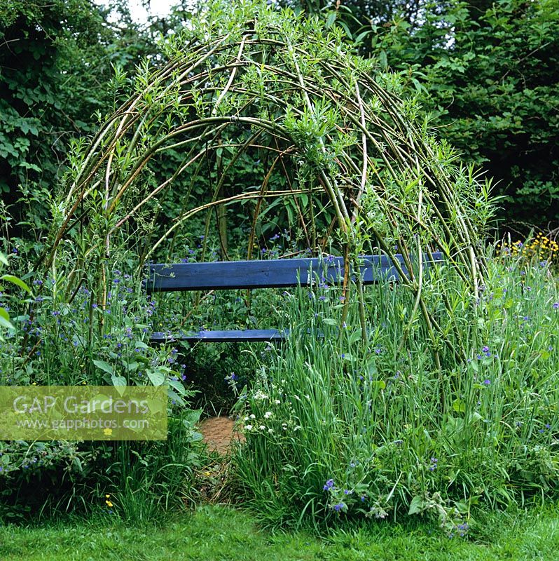 Living willow arbour above bench in wild garden.