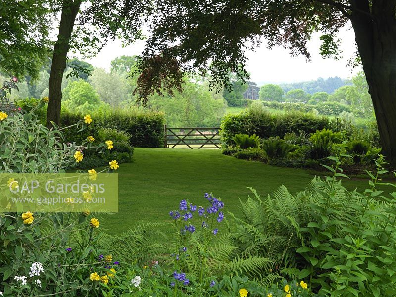 Woodland Garden. Glimpse of landscape through plants and a five-bar gate.