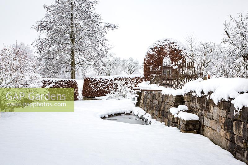 Winter in a garden with stone wall, water basin, clipped hedges and an arbour, in the background, an elder tree - Alnus glutinosa 
