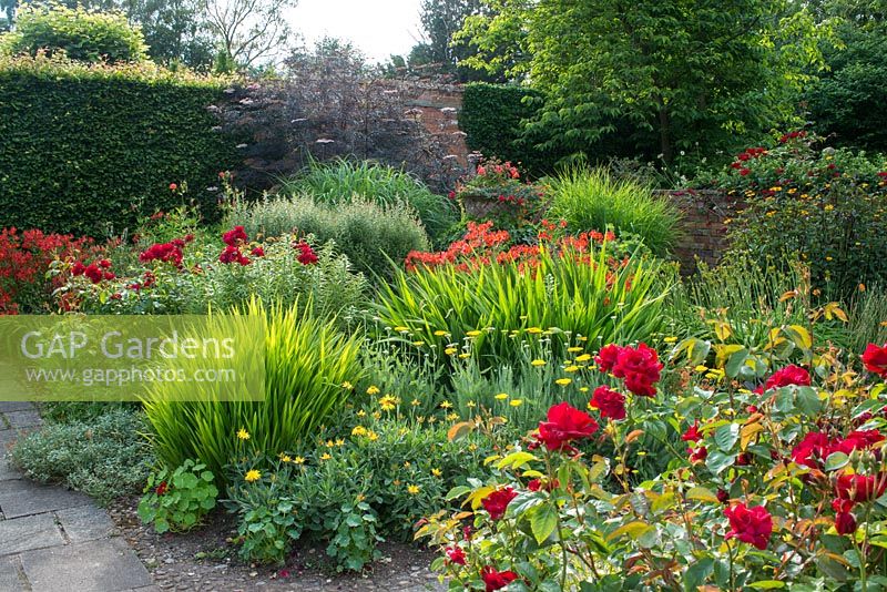 The Lanhydrock Garden, Wollerton Old Hall. Hot colour scheme with roses, crocosmias and alstroemerias