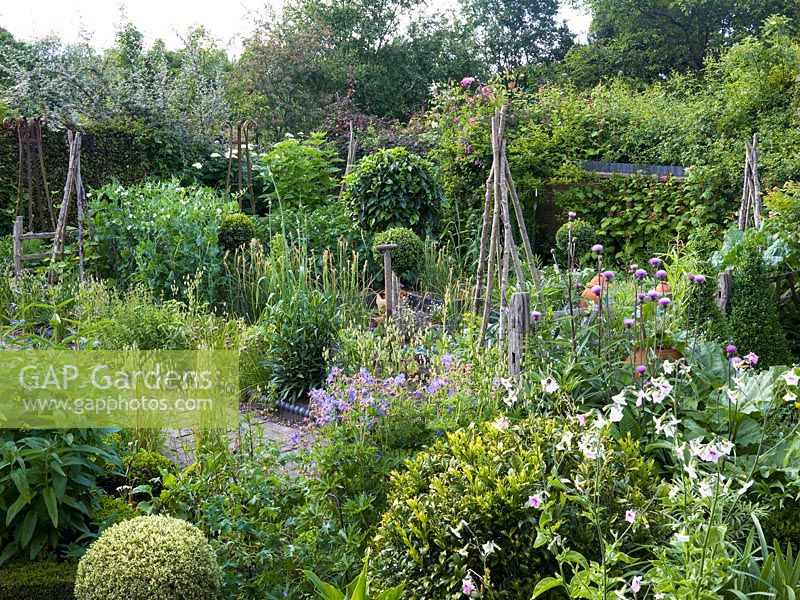 View over garden with hardy geranium, cirsium and nicotiana to potager of rectangular beds, with its mix of box hedges and topiary, herbs, sweet peas on wigwams, fruit and vegetables.