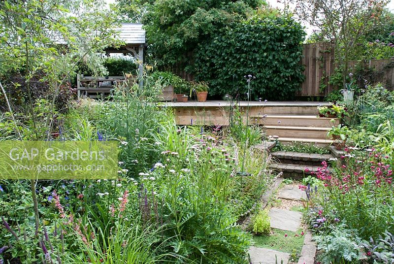 Steps leading to decking area with arbour, natural style planting either side with Penstemon 'Garnet', Verbena bonariensis, Cirsium rivulare 'Atropurpureum' and Foeniculum vulgare