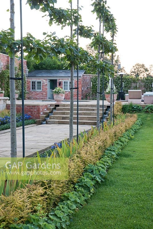 Pleached Tilia with rows of Lonicera nitida 'Baggesen's Gold' and Alchemilla mollis.  Steps leading up to swimming pool and pool house