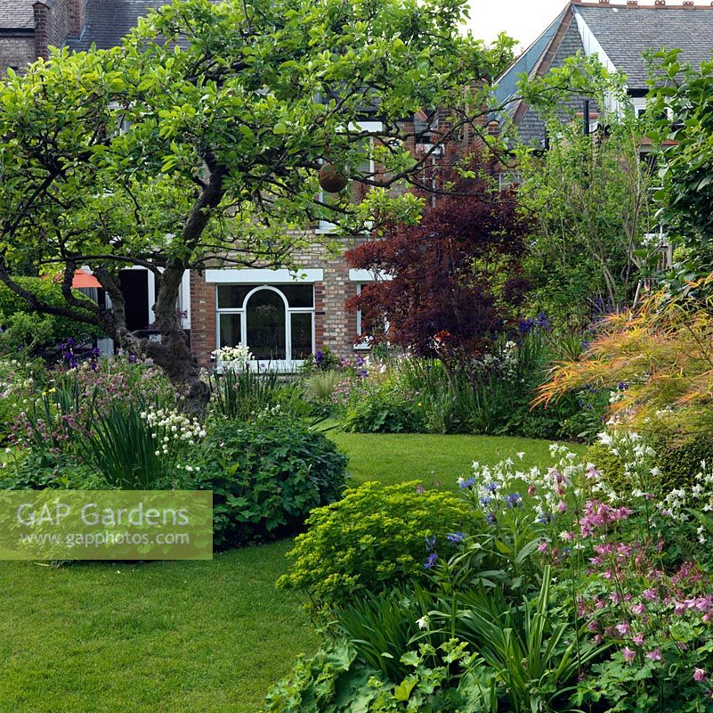 Mixed borders of white and pink Aquilegias, Euphorbia, Centaurea and Iris surround an old apple tree, Acer and a Cotinus bush.