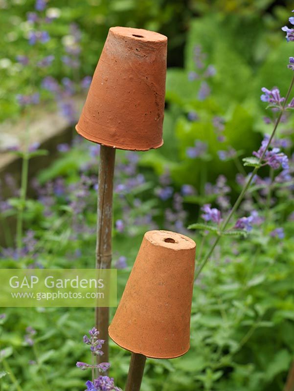 Tiny terracotta pots serve as cane protectors, preventing people from inadvertantly poking their eyes when bending down - a very common injury amongst gardeners.