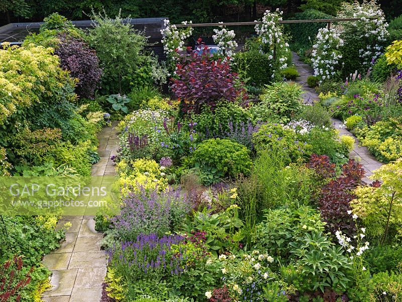 Overview of tiny garden. Paths pass 250  perennials packed into beds. Key plants: Rosa Guirlande d'Amour on pergola, Cotinus coggygria, Acer palmatum, weeping pear.