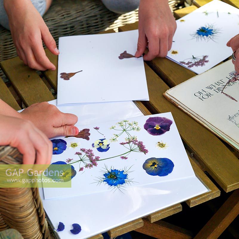 The garden flowers picked two weeks before are now dry, and ready to make into a Mother's Day card. The flowers are delicate, so it's best to apply glue direct to the paper, and then stick the flower. A little adult help is needed for this bit