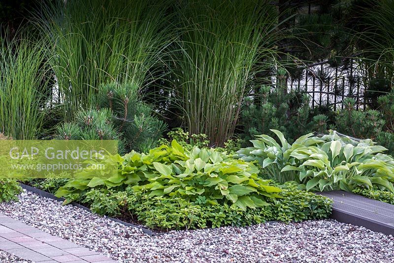 Shady border planted with hosta, pachysandra and ornamental grasses. 