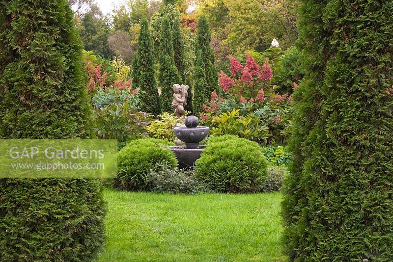 Manicured green grass lawn with water fountain, sculpture and crimson red Hydrangea paniculata shrubs framed by Thuja occidentalis 'Smaragd' - Cedar trees in private backyard garden in autumn