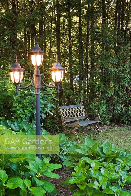 Illuminated Lamppost with brown cast iron metal and black wooden antique lattice bench in private backyard garden in summer