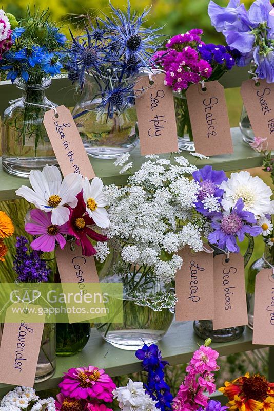 Glass jars and bottles filled with cut flowers grown in the garden. Pictured from left to right - love-in-the mist, sea holly, statice, sweet pea, lavender, cosmos, lacecap, scabious.