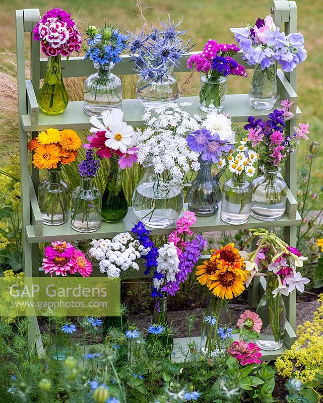 Glass jars and bottles filled with cut flowers. Pictured from left to right, top to bottom - sweet William, love-in-the-mist, sea holly, statice, sweet pea, marigold, lavender, cosmos, ammi, scabious, feverfew, clary sage, zinnia, achillea, larkspur, rudbeckia and nicotiana.