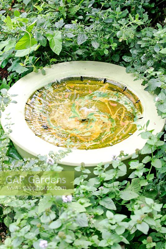 Waterbowl with circling water.