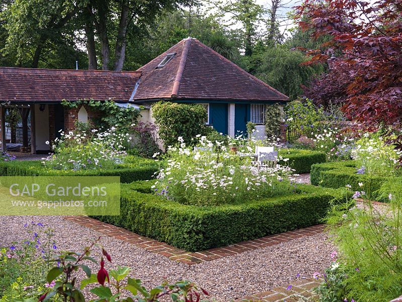 Walled cottage garden. Box parterre of 4 square beds filled with cosmos, anthemis, nicotiana, verbena, roses, Senecio viravira. 