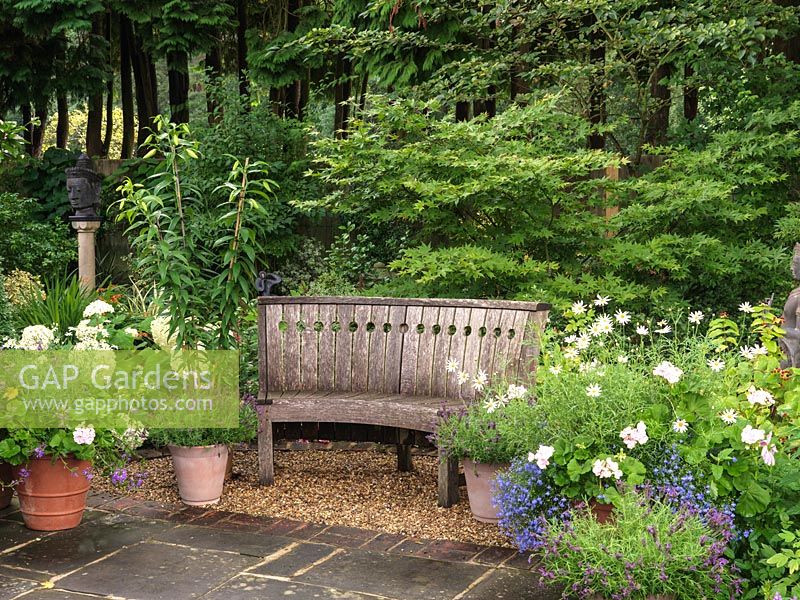 On shady stone terrace, bench edged in pots of lilies, French lavender and marguerites. Behind - maples, Hydrangea arborescens Annabelle and stone head on plinth.