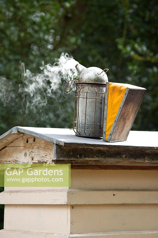 Beekeeping tools - a hive smoker