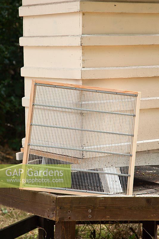 Beekeeping hive equipment - a wooden frame