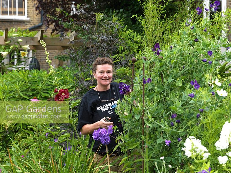 Antonia Dudley-Smith picks Navy Blue sweet peas in her 30m x 5.5m city garden