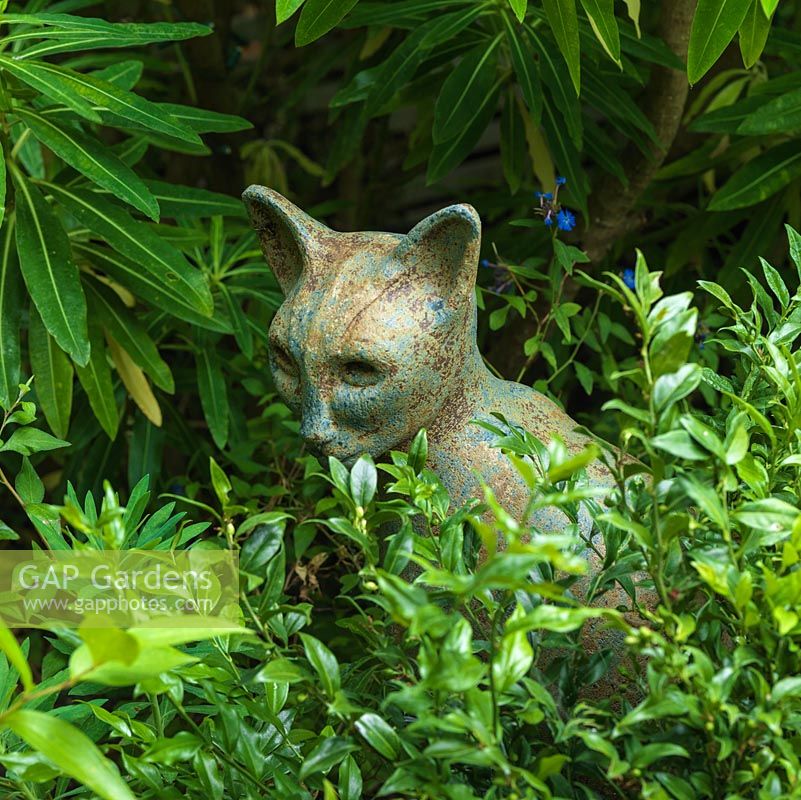 Ceramic cat sculpture is partly hidden in border amongst foliage of Euphorbia mellifera and Christmas box.