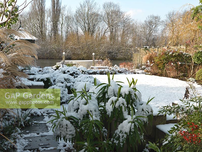 River Thames garden designed by Andy Sturgeon. Box topiary, grasses and architectural plants in snow.
